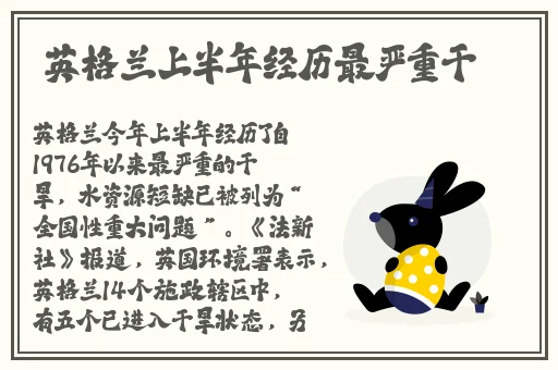 小猪视频下载在线播放